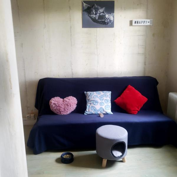 Photo du logement