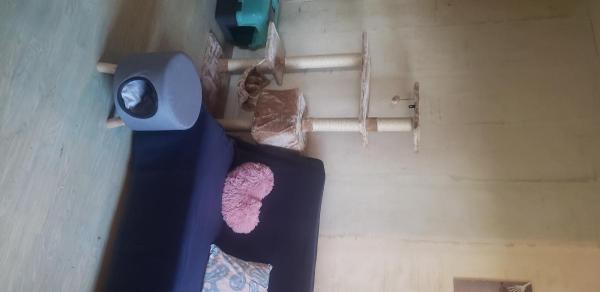 Photo du logement