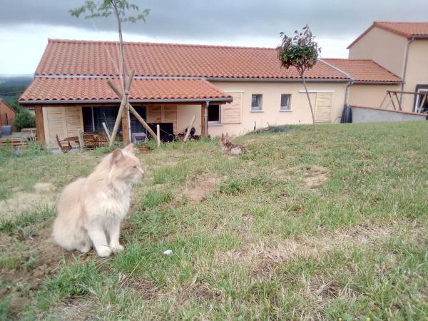 Photo du logement