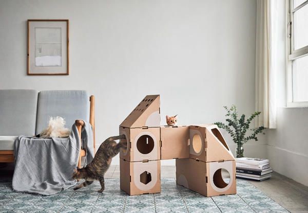 Photo du logement