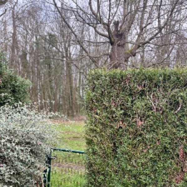 Photo du logement