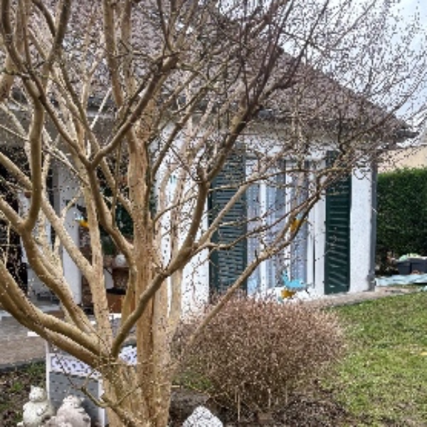 Photo du logement