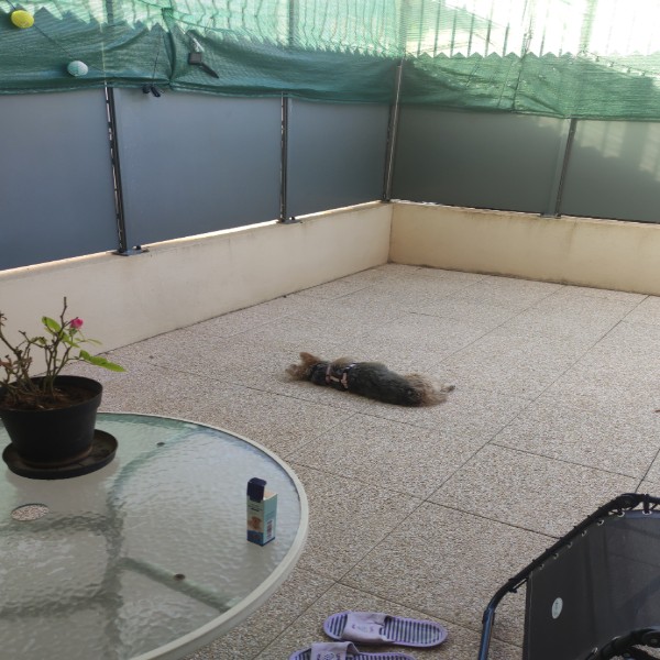 Photo du logement
