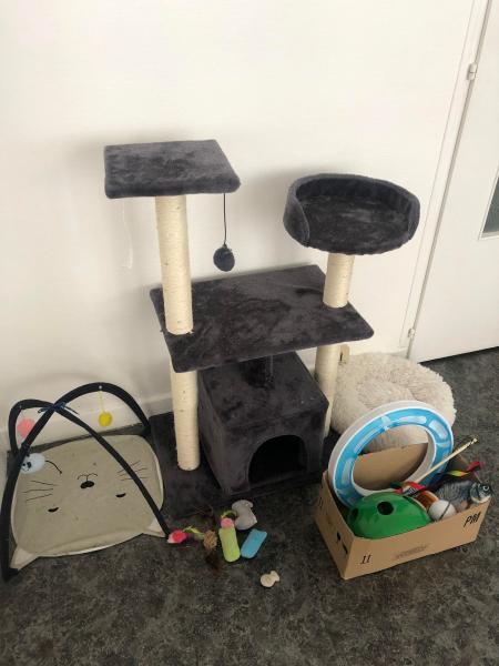 Photo du logement