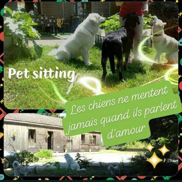 Photo du logement