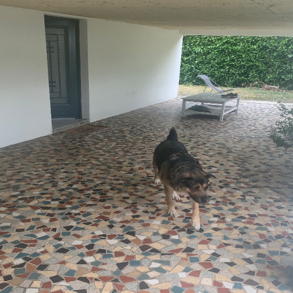 Photo du logement