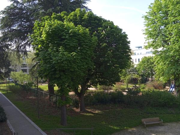 Photo du logement