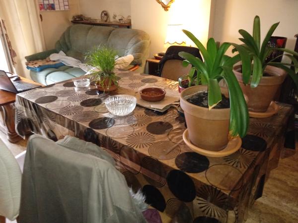 Photo du logement