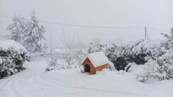 Photo du logement