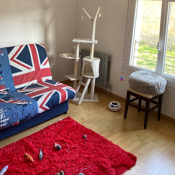 Photo du logement
