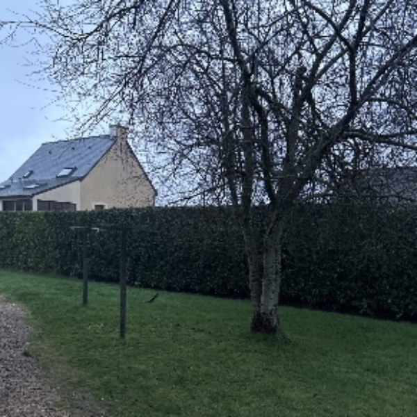 Photo du logement