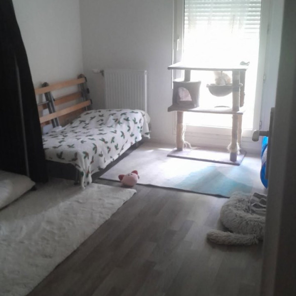 Photo du logement