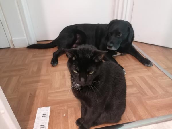 Photo du logement
