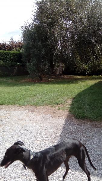Photo du logement