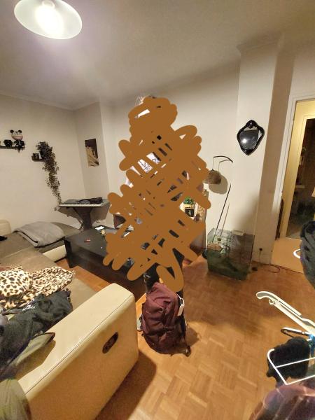 Photo du logement