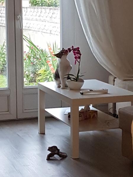 Photo du logement