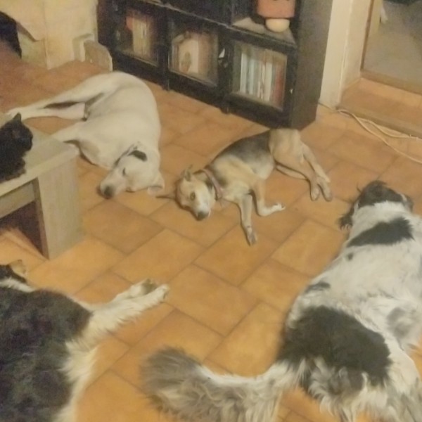 Photo du logement