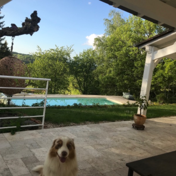 Photo du logement