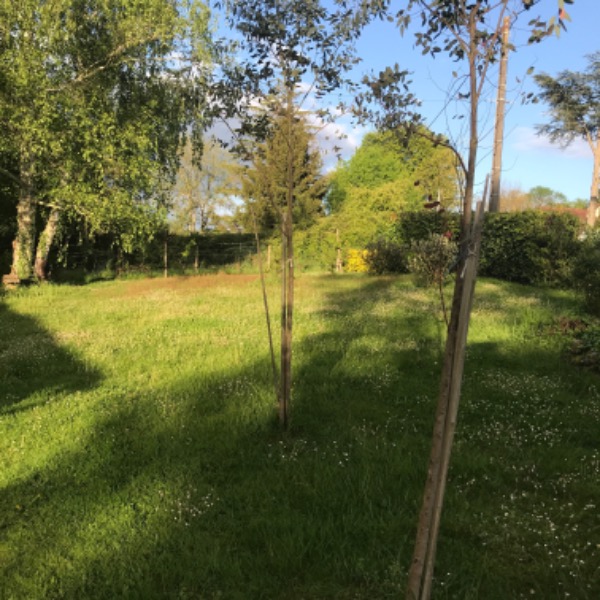 Photo du logement