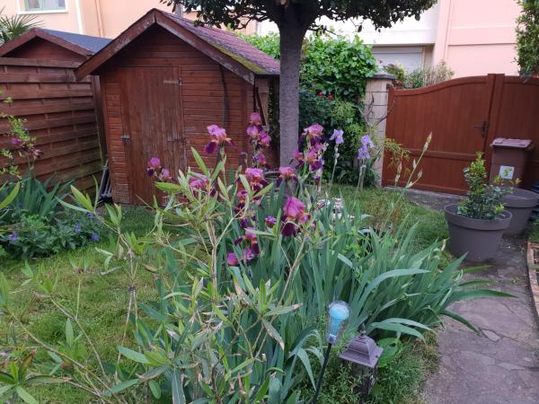 Photo du logement