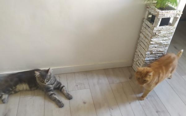 Photo du logement