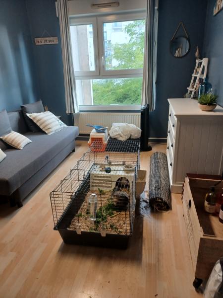Photo du logement