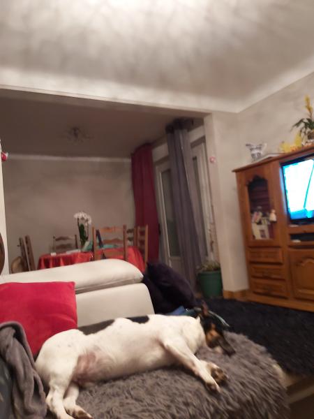 Photo du logement
