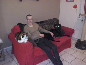 Photo du logement