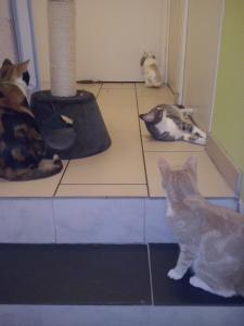 Photo du logement