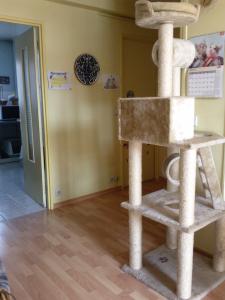 Photo du logement