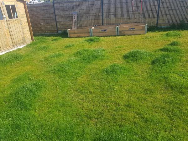 Photo du logement