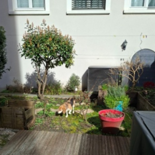 Photo du logement