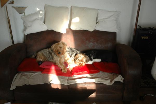 Photo du logement