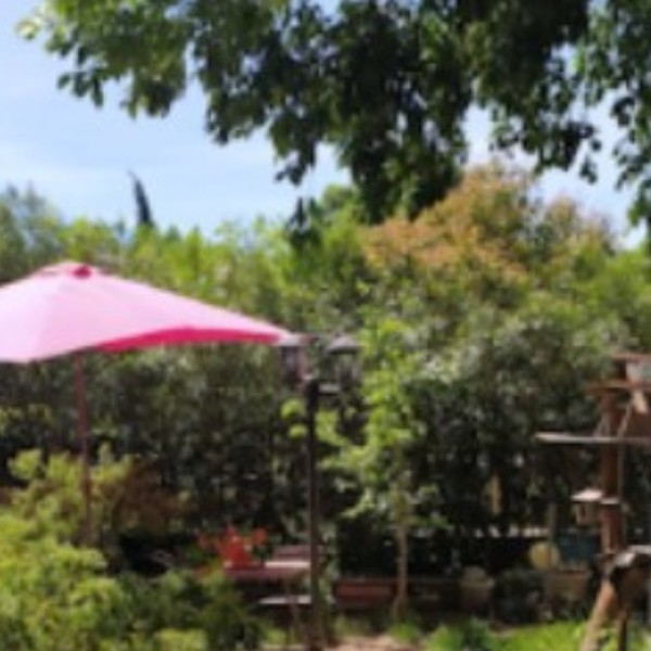Photo du logement