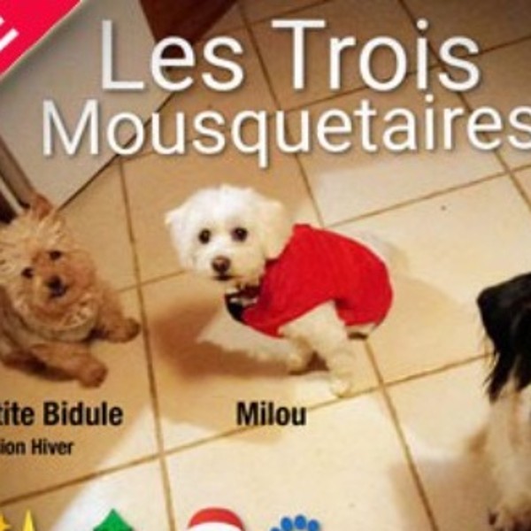Photo du logement