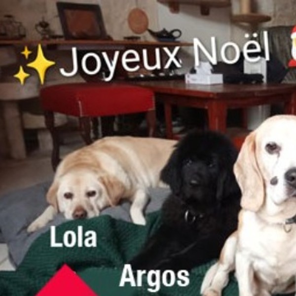 Photo du logement
