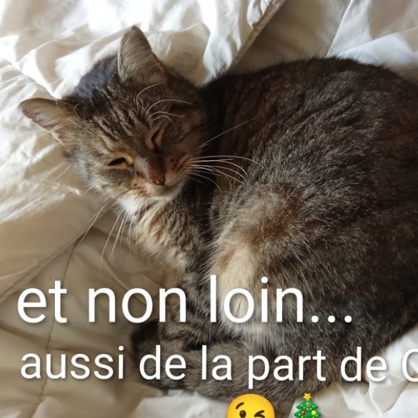 Photo du logement