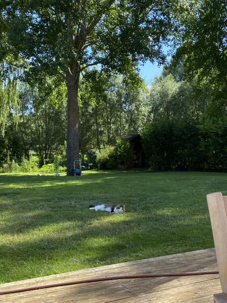 Photo du logement
