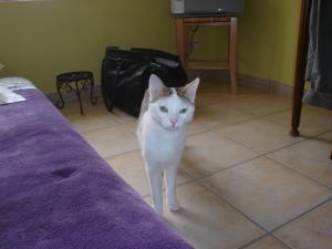 Photo du logement
