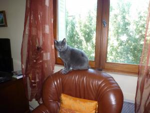 Photo du logement
