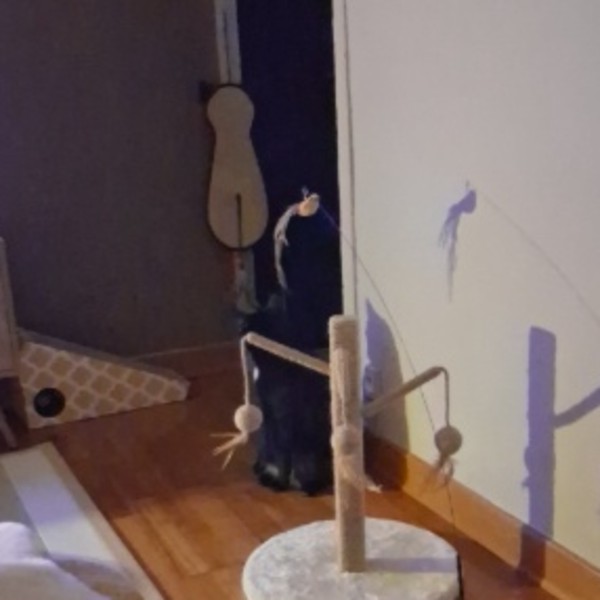 Photo du logement