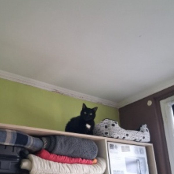Photo du logement