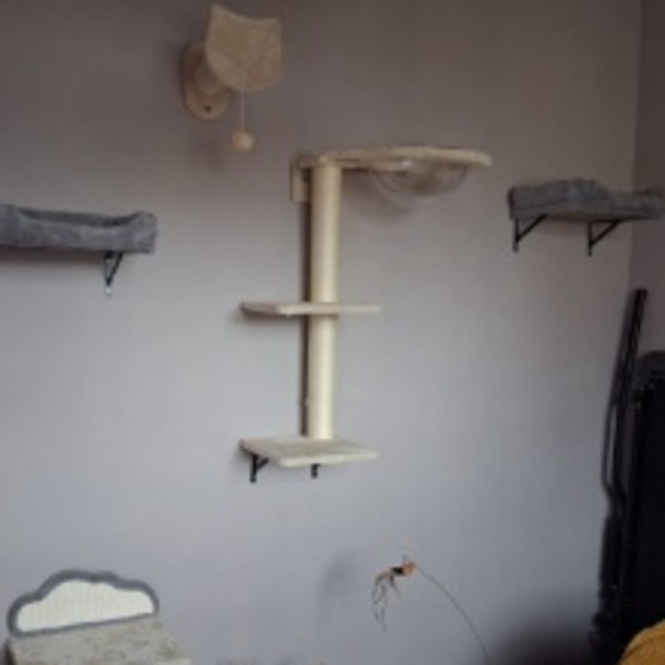 Photo du logement