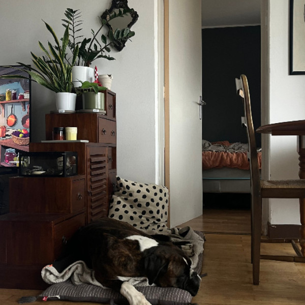 Photo du logement