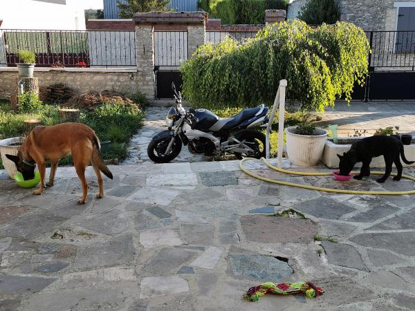 Photo du logement