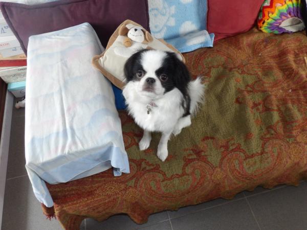 Photo du logement