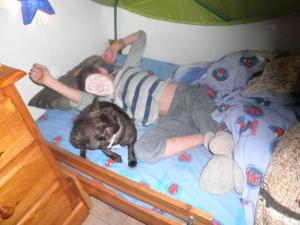 Photo du logement