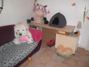 Photo du logement