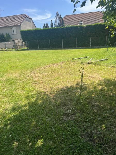 Photo du logement