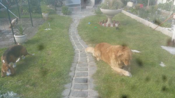 Photo du logement